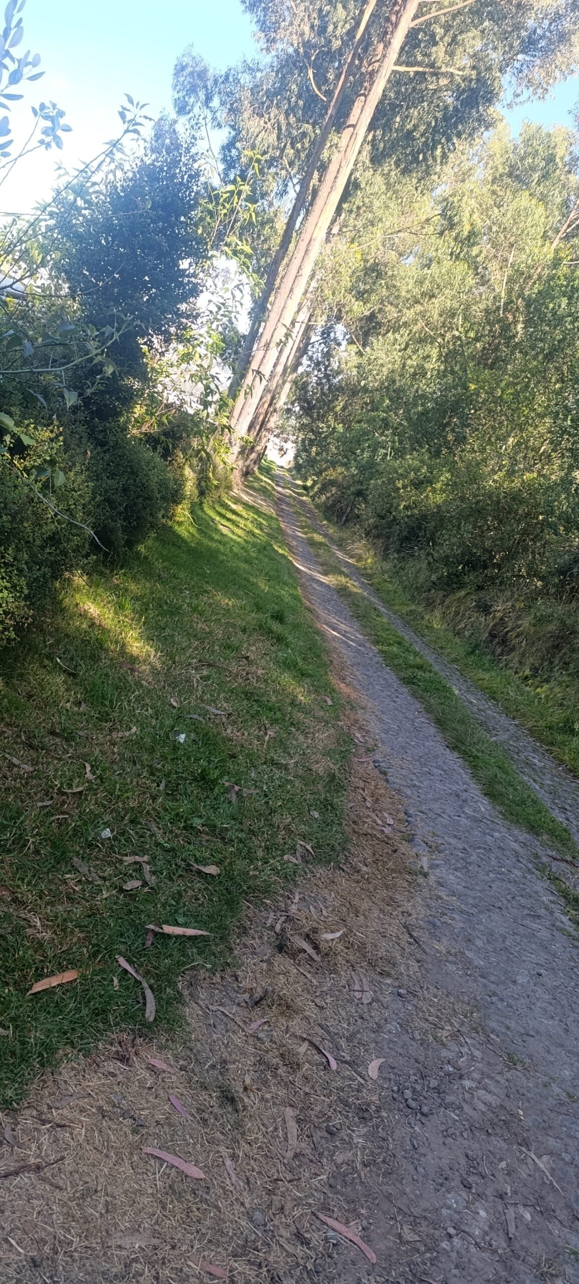 Espacio natural de CEREÍN en Cayambe